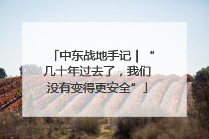 中东战地手记｜“几十年过去了，我们没有变得更安全”