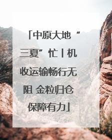 中原大地“三夏”忙丨机收运输畅行无阻 金粒归仓保障有力