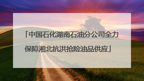 中国石化湖南石油分公司全力保障湘北抗洪抢险油品供应