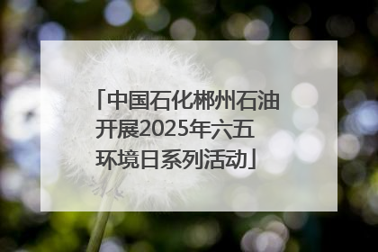 中国石化郴州石油开展2025年六五环境日系列活动