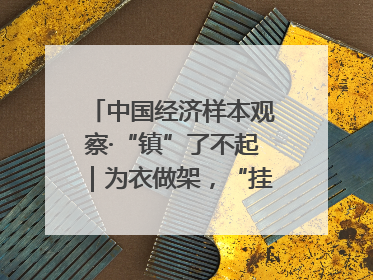 中国经济样本观察·“镇”了不起｜为衣做架，“挂”出来的80亿元“衣架产业”