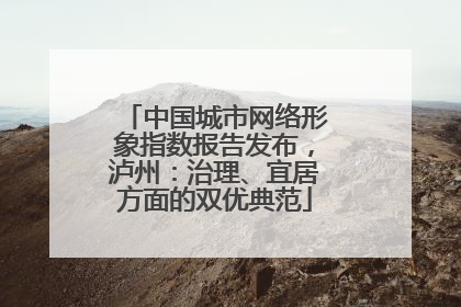 中国城市网络形象指数报告发布，泸州：治理、宜居方面的双优典范