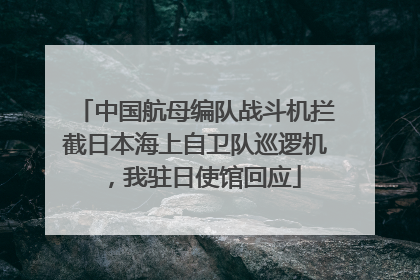中国航母编队战斗机拦截日本海上自卫队巡逻机，我驻日使馆回应