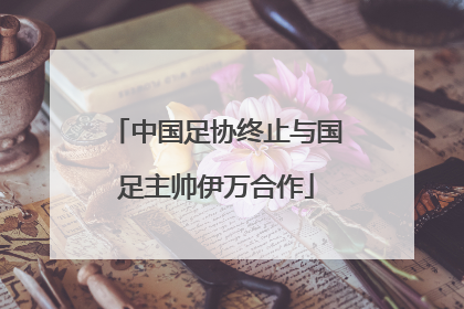中国足协终止与国足主帅伊万合作