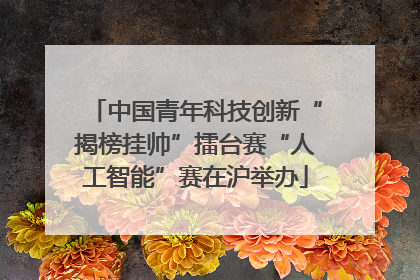 中国青年科技创新“揭榜挂帅”擂台赛“人工智能”赛在沪举办