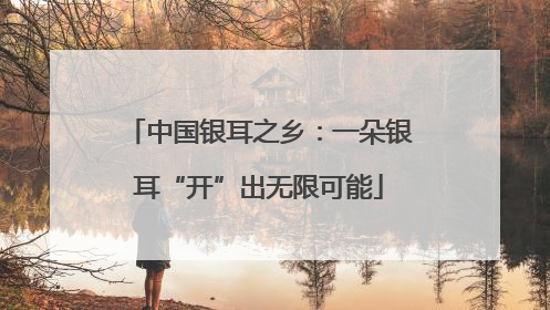 中国银耳之乡：一朵银耳“开”出无限可能