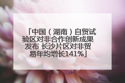 中国（湖南）自贸试验区对非合作创新成果发布 长沙片区对非贸易年均增长141%