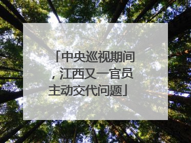 中央巡视期间，江西又一官员主动交代问题