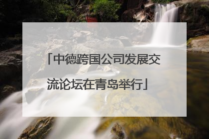 中德跨国公司发展交流论坛在青岛举行