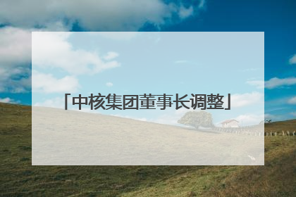 中核集团董事长调整