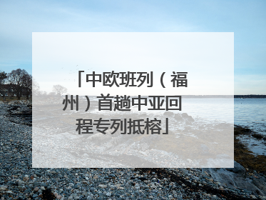 中欧班列（福州）首趟中亚回程专列抵榕