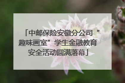 中邮保险安徽分公司“趣味画室”学生金融教育安全活动圆满落幕