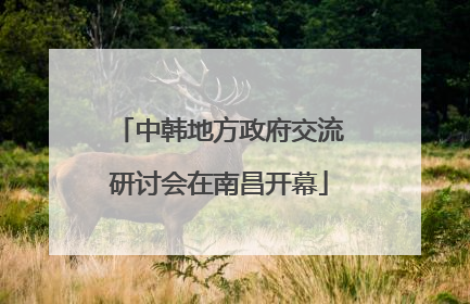 中韩地方政府交流研讨会在南昌开幕