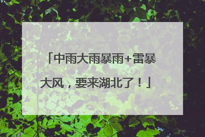 中雨大雨暴雨+雷暴大风，要来湖北了！