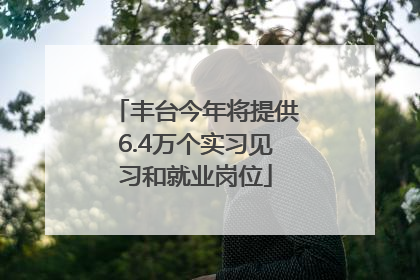 丰台今年将提供6.4万个实习见习和就业岗位