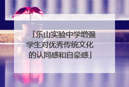 乐山实验中学增强学生对优秀传统文化的认同感和自豪感