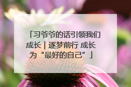 习爷爷的话引领我们成长｜逐梦前行 成长为“最好的自己”