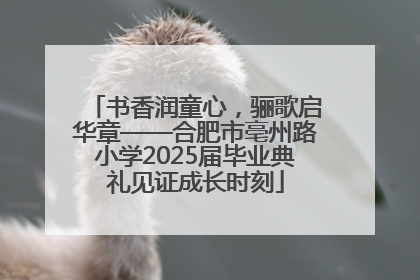 书香润童心，骊歌启华章——合肥市亳州路小学2025届毕业典礼见证成长时刻