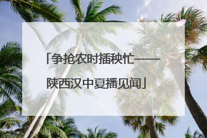 争抢农时插秧忙——陕西汉中夏播见闻