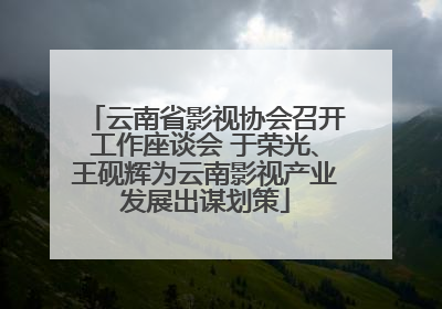 云南省影视协会召开工作座谈会 于荣光、王砚辉为云南影视产业发展出谋划策