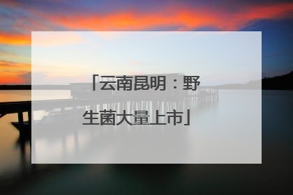 云南昆明：野生菌大量上市