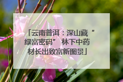 云南普洱：深山藏“绿富密码” 林下中药材长出致富新图景