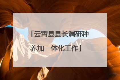 云霄县县长调研种养加一体化工作