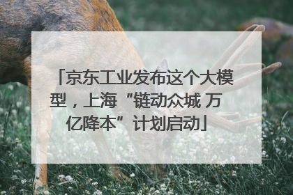 京东工业发布这个大模型，上海“链动众城 万亿降本”计划启动