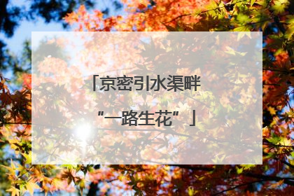 京密引水渠畔“一路生花”