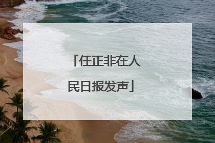 任正非在人民日报发声
