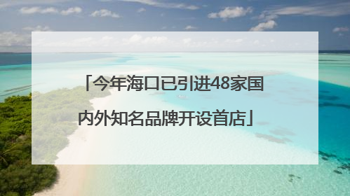 今年海口已引进48家国内外知名品牌开设首店