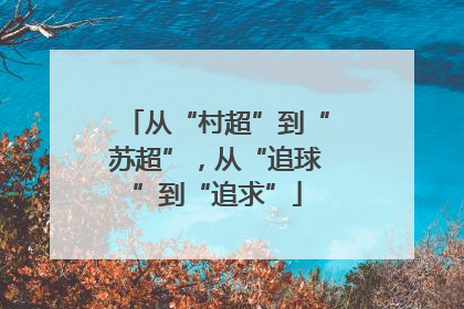 从“村超”到“苏超”，从“追球”到“追求”