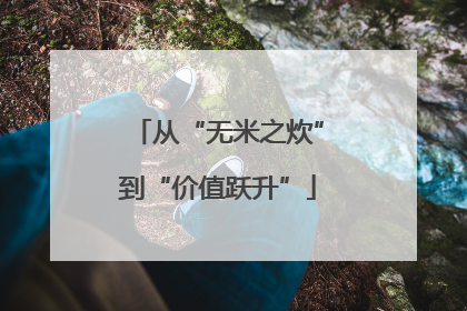 从“无米之炊”到“价值跃升”