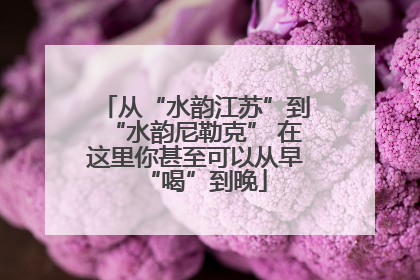 从“水韵江苏”到“水韵尼勒克” 在这里你甚至可以从早“喝”到晚