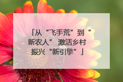 从“飞手荒”到“新农人” 激活乡村振兴“新引擎”