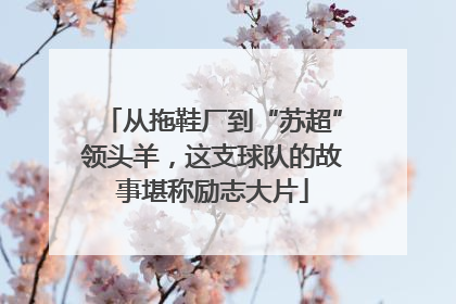 从拖鞋厂到“苏超”领头羊，这支球队的故事堪称励志大片