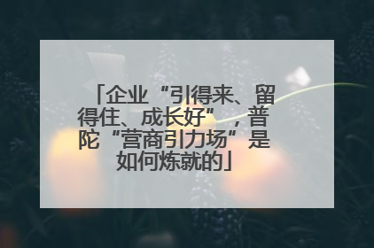 企业“引得来、留得住、成长好”，普陀“营商引力场”是如何炼就的