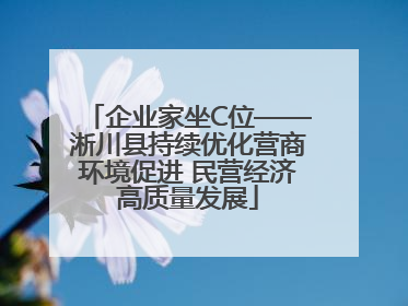 企业家坐C位——淅川县持续优化营商环境促进 民营经济高质量发展