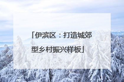 伊滨区：打造城郊型乡村振兴样板