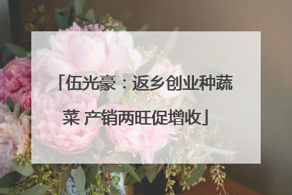 伍光豪：返乡创业种蔬菜 产销两旺促增收