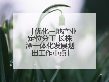 优化三地产业定位分工 长株潭一体化发展划出工作重点