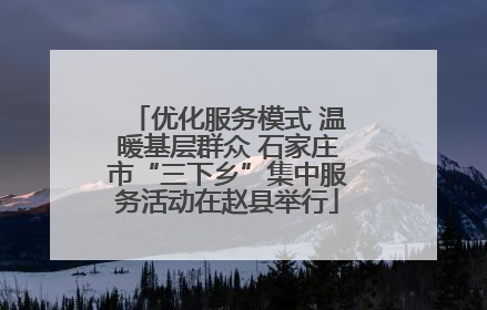 优化服务模式 温暖基层群众 石家庄市“三下乡”集中服务活动在赵县举行