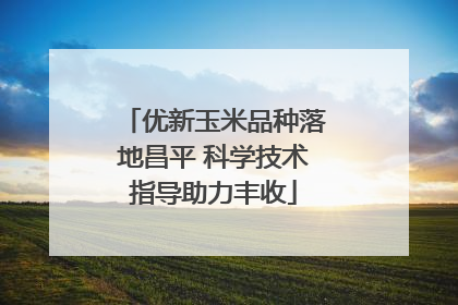 优新玉米品种落地昌平 科学技术指导助力丰收