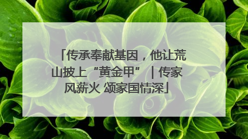 传承奉献基因，他让荒山披上“黄金甲”｜传家风薪火 颂家国情深