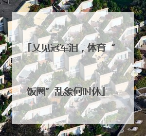 又见冠军泪，体育“饭圈”乱象何时休