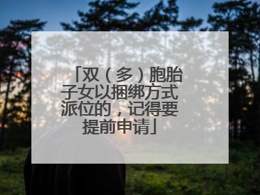 双（多）胞胎子女以捆绑方式派位的，记得要提前申请