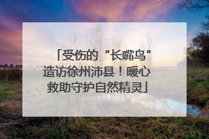 受伤的“长嘴鸟”造访徐州沛县！暖心救助守护自然精灵