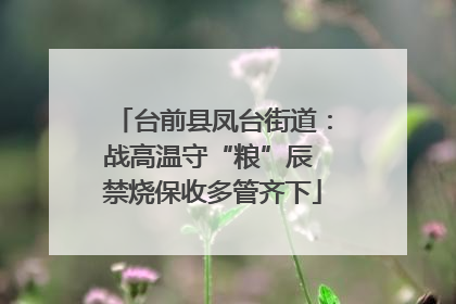 台前县凤台街道：战高温守“粮”辰 禁烧保收多管齐下