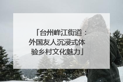 台州峰江街道：外国友人沉浸式体验乡村文化魅力
