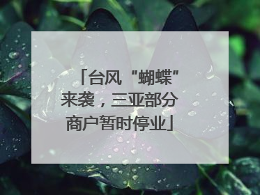 台风“蝴蝶”来袭，三亚部分商户暂时停业